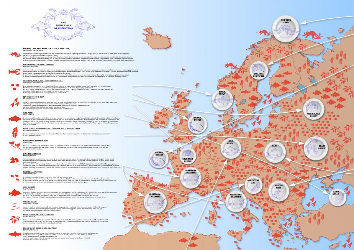The Edible Map of Migration